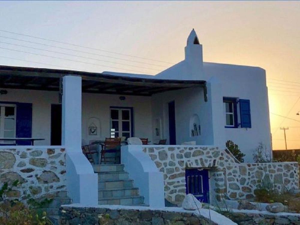 Elena Villa *
